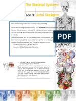 Skeletal System Lesson 3