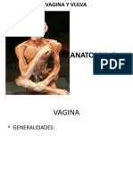 ANATOMIA 2 Vuvla y Vagina