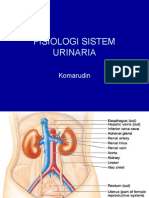 Sistem Perkemihan