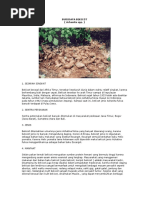 Download BudidayaBekicot by Zaenul_Abidin_6882 SN52679425 doc pdf