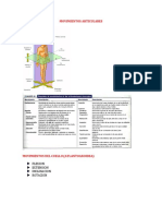 Movimientos Articulares