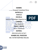 MPS desarrollo producción programación maestra