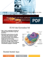 Kerusakan Sel