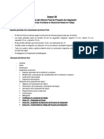 Anexo 04 - Estructura Del Informe Modalidad DPI
