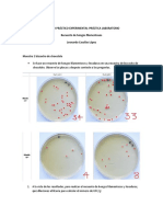 Recuento de Hongos Filamentosos y Levaduras