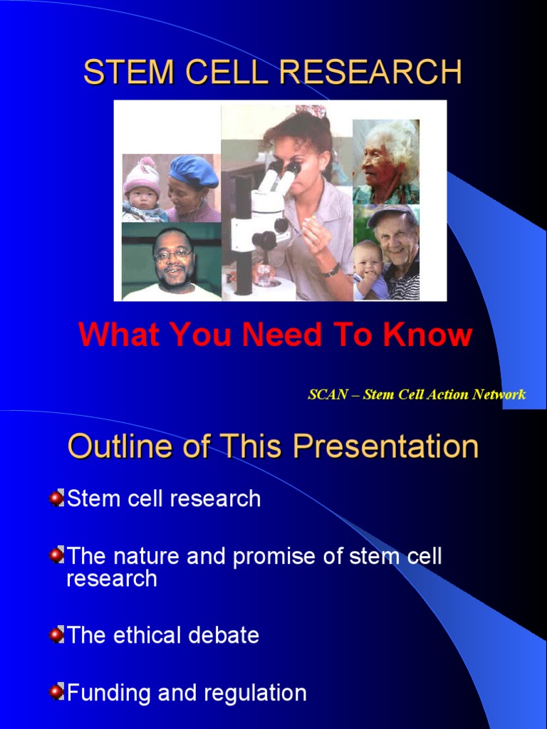 Understanding Stem Cell Research Basics | PDF | Embryonic Stem Cell ...