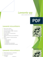 12 Lawsonia SPP