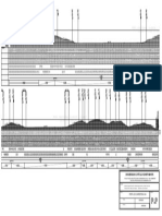 Perfil Longitudinal