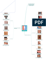 Lesiones Cutaneas - 202182 - 134051