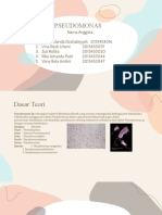 Pseudomonas KLMPK 4