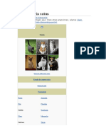 Felis Silvestris Catus: Gato y Gata Redirigen Aquí. para Otras Acepciones, Véanse y