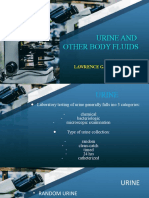 Urine & Other Body Fluids