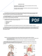 Respiratory System LEC