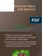 Encefalitis Viral Por Dengue