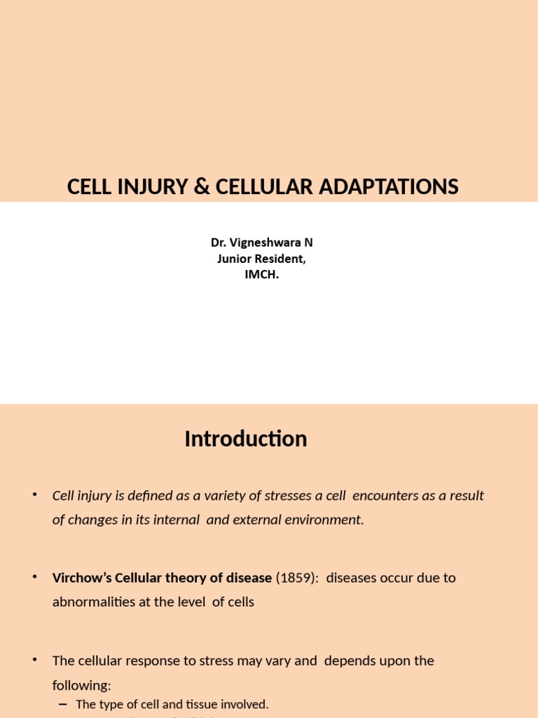 Cellular Injury and Adaptations | PDF | Necrosis | Amyloid
