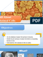 All About Animal Cells: Presentation by