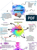 Mapas Mentales Psicofisiologia Natalia