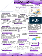 Bernal Z - Examen Parcial 1 - Parte 5