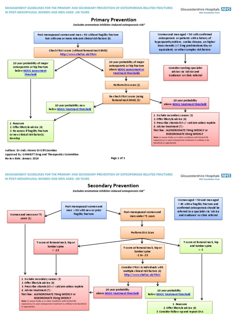 Osteoporosis Guideline | PDF | Osteoporosis | Health Care