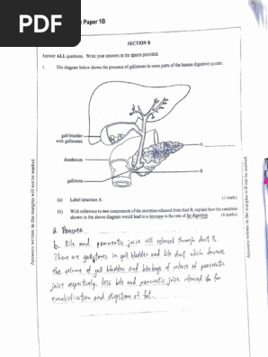 乩竺圧l 聶曇1』~s-e~ 墳c: DSE 2021 Biology Paper 1 B | PDF