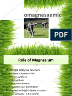 Essential Role of Magnesium in Preventing Hypomagnesaemic Tetany