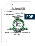 Internship Report Habib Bank Limited