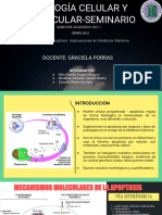 Apoptosis en Medicina Intensiva: implicaciones y posibilidades terapéuticas