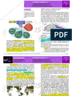 B-R3-10-P - Toxoplasma Gondii-20-07-21