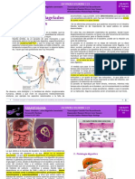 B R3 05 P Giardiosis 01 07 21.