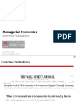 Economic Fluctuations