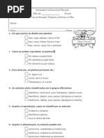 Ficha trimestral  EM-Páscoa 3º ano
