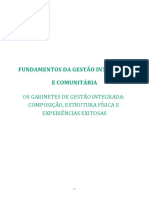 Os Gabinetes de Gestão Integrada Composicao e Estruturas Fisicas