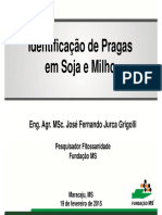 Identificação Pragas Soja e Milho Versão PDF (Conflito de Codificação Unicode)