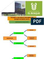 Teoría Introducción A La Morfofisiología