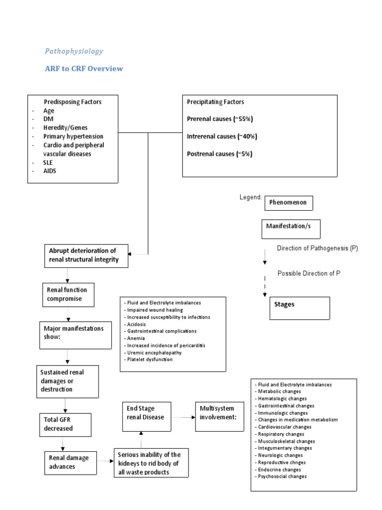 PathoPhysiology of Renal Failure (Overview) | Cardiovascular System | Blood