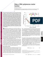 Tuning and Switching A DNA Polymerase Motor With Mechanical Tension