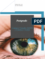 Campos Visuales EMDR y Cinética Ocular - PSTG