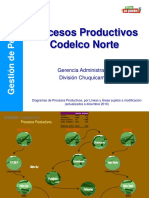 Procesos Productivos DCN 2010