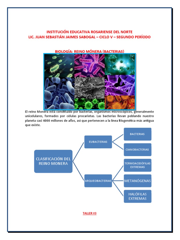 Bacterias Numeroscuant Ciclo V | PDF | Las bacterias | Orbital atómico