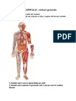 ALCATUIREA CORPULUI - Notiuni Generale