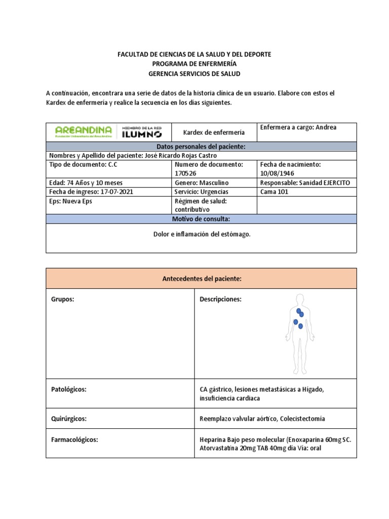 Kardex de Enfermería para Paciente | PDF | Medicina CLINICA | Epidemiología
