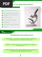 A_vida_e_os_seres_mais_simpes_-_7º_ano_6ª_série-Ciên-Ok