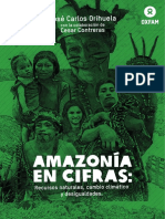 Amazonia en Cifras_0
