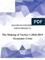 The Making of Turkey's 2018-2019 Economic Crisis: Macro Economics (Mini Project)