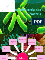 Bakteri: Ciri, Klasifikasi, Reproduksi, dan Peranannya