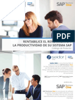 Add-Ons para optimizar SAP Business One