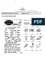 GUÍA 14 Consomante Combinada PL