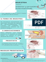 Roger - Flores - Toma de Muestra Uretra