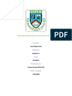 Auditoría: Perfil, Control Interno y Procedimientos