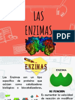 ENZIMAS